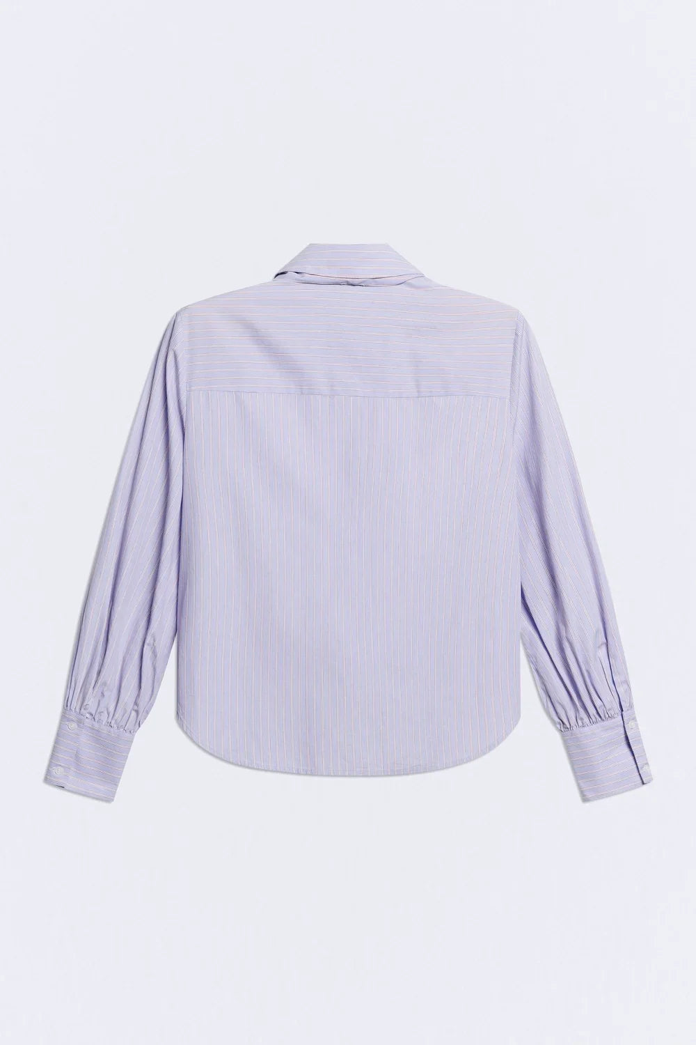 CAMISA DANDY