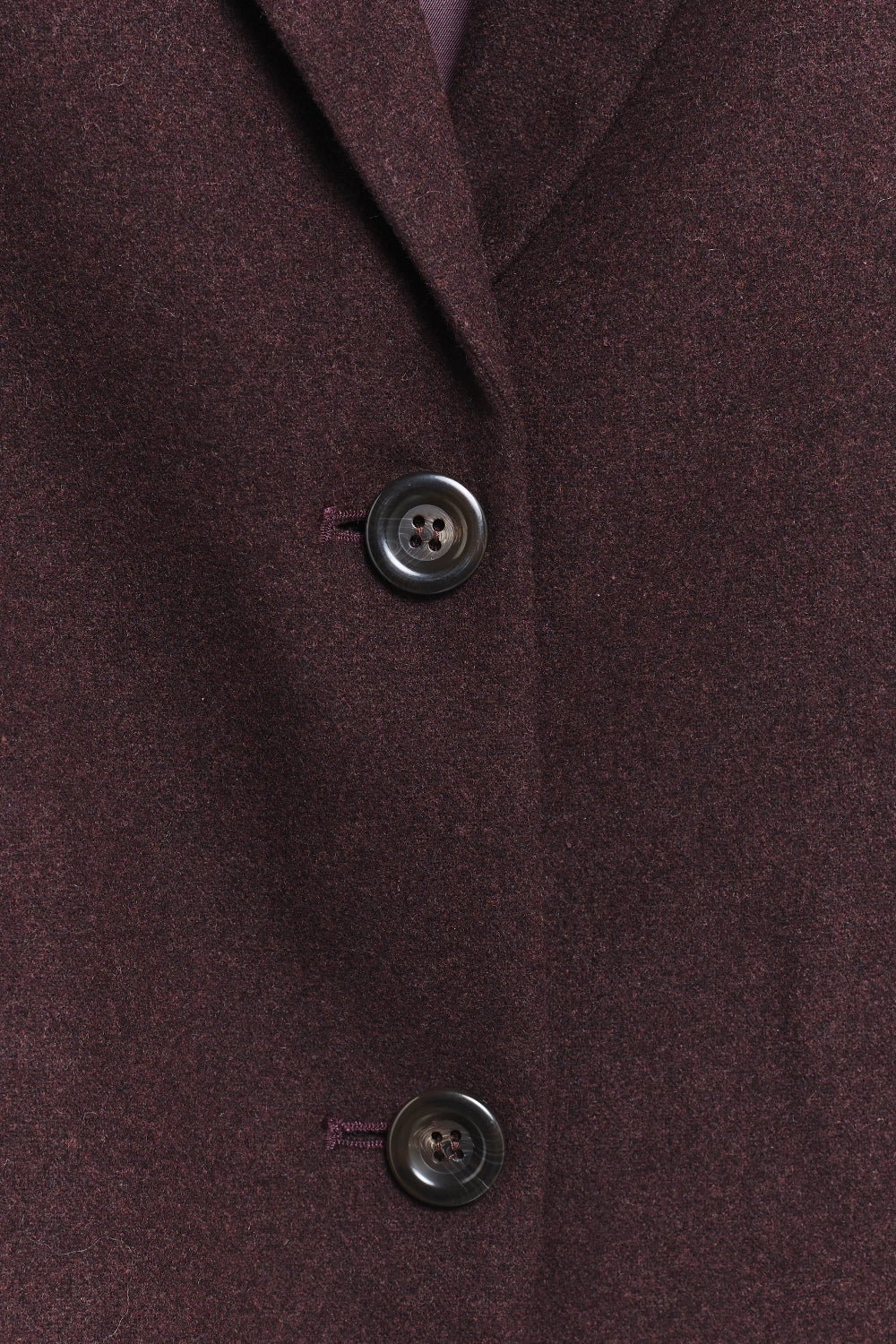 BLAZER FRANK